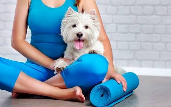 Doug yoga